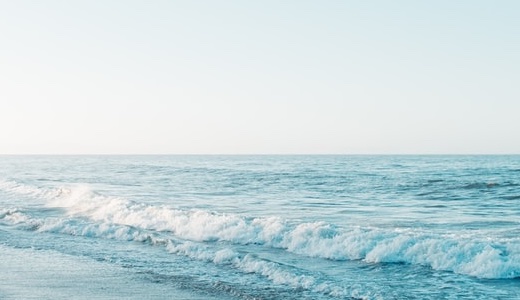 本のタイトル名